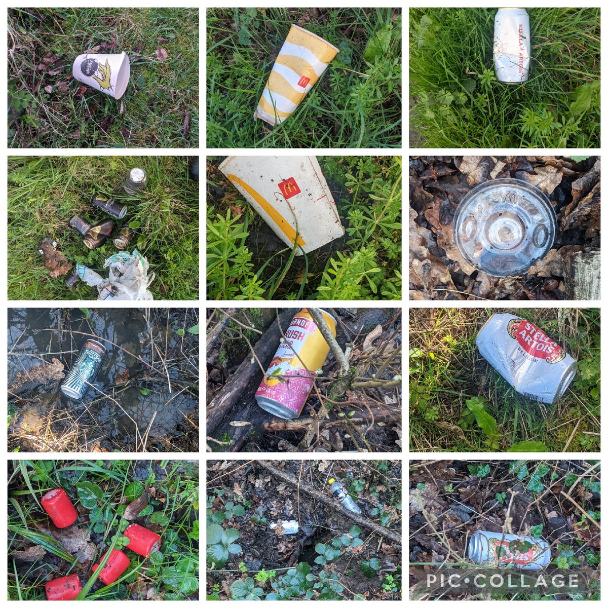 Eric Torrington tweet media