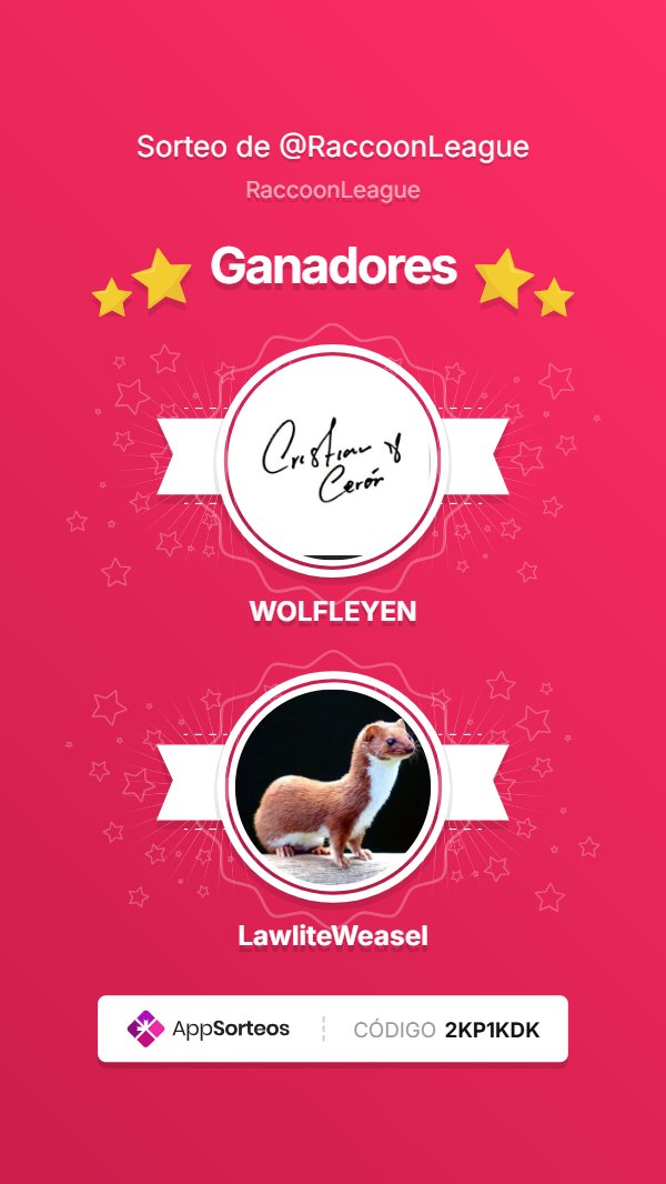 Raccoon League 🦝 tweet media