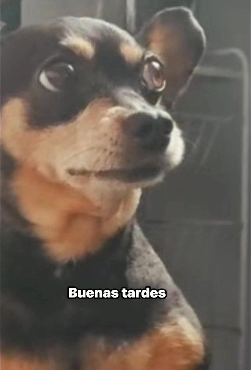 capicholo's tweet photo. Me para el tránsito por pasarme 3 altos 
Yo: https://t.co/9KYizc7DUm
