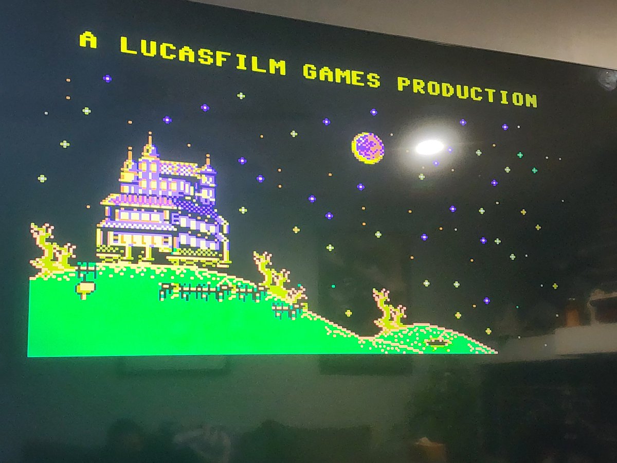 Gringo Fantastico tweet media