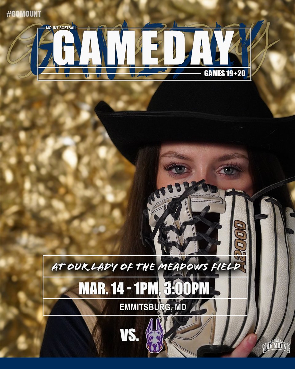 Mount Softball tweet media