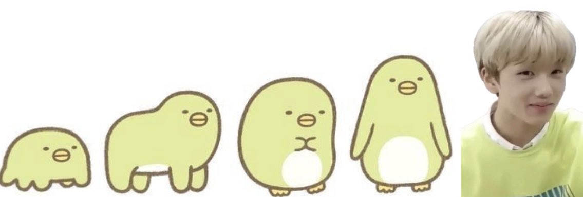 ◟( ･o˙ )◞ tweet media