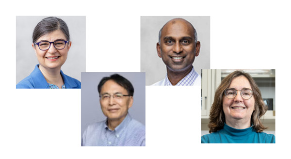 University of Illinois Cancer Center tweet media