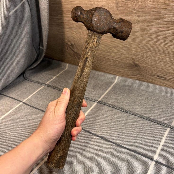 Sweet Adventures tweet media