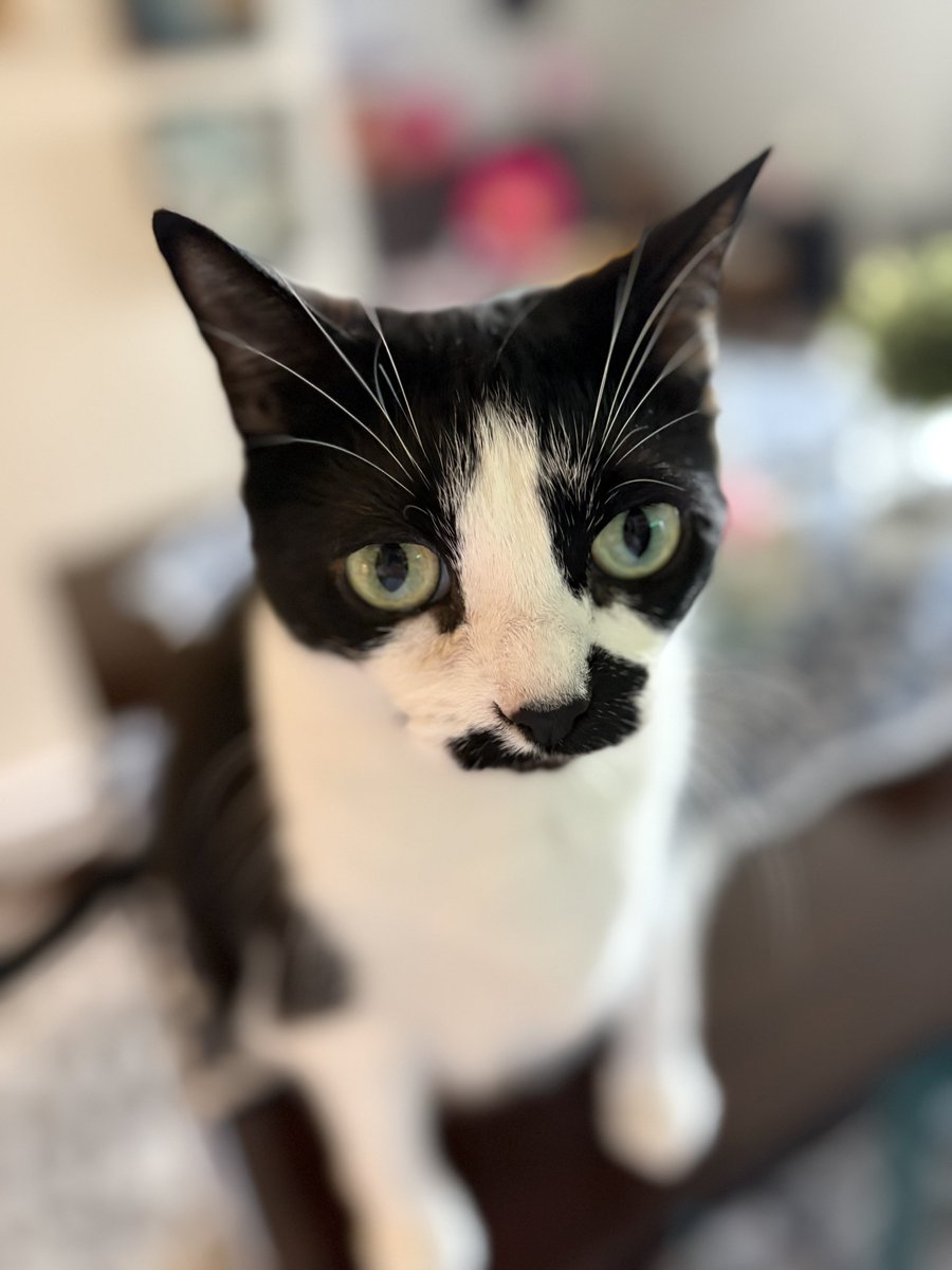 kimmy 🍁🇨🇦 tweet media