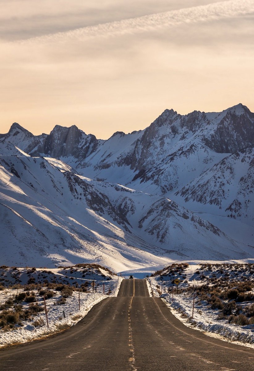 Brandon Yoshizawa tweet media