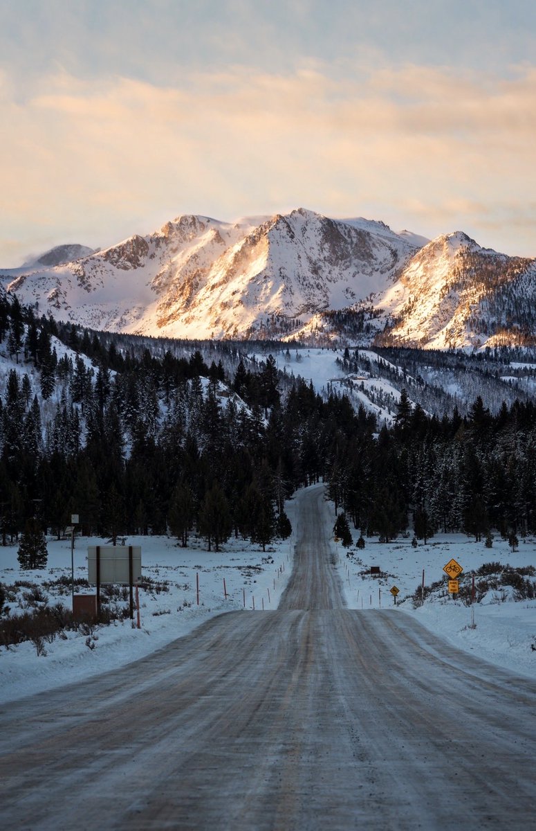 Brandon Yoshizawa tweet media