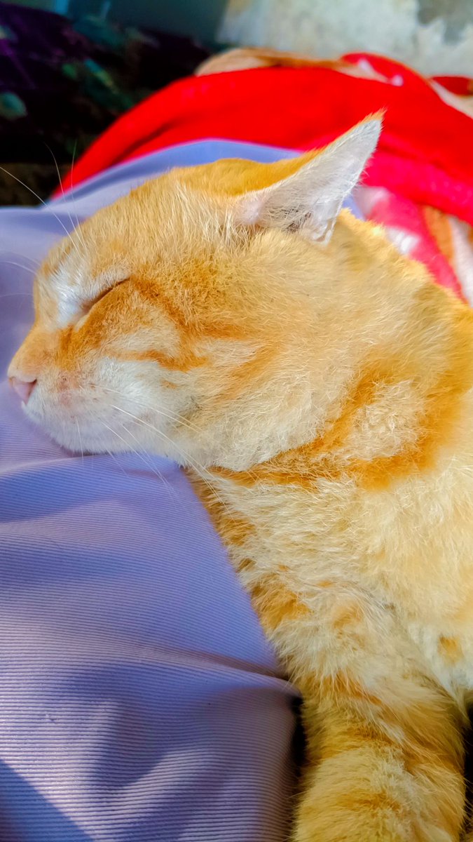 can't be your superman tweet media