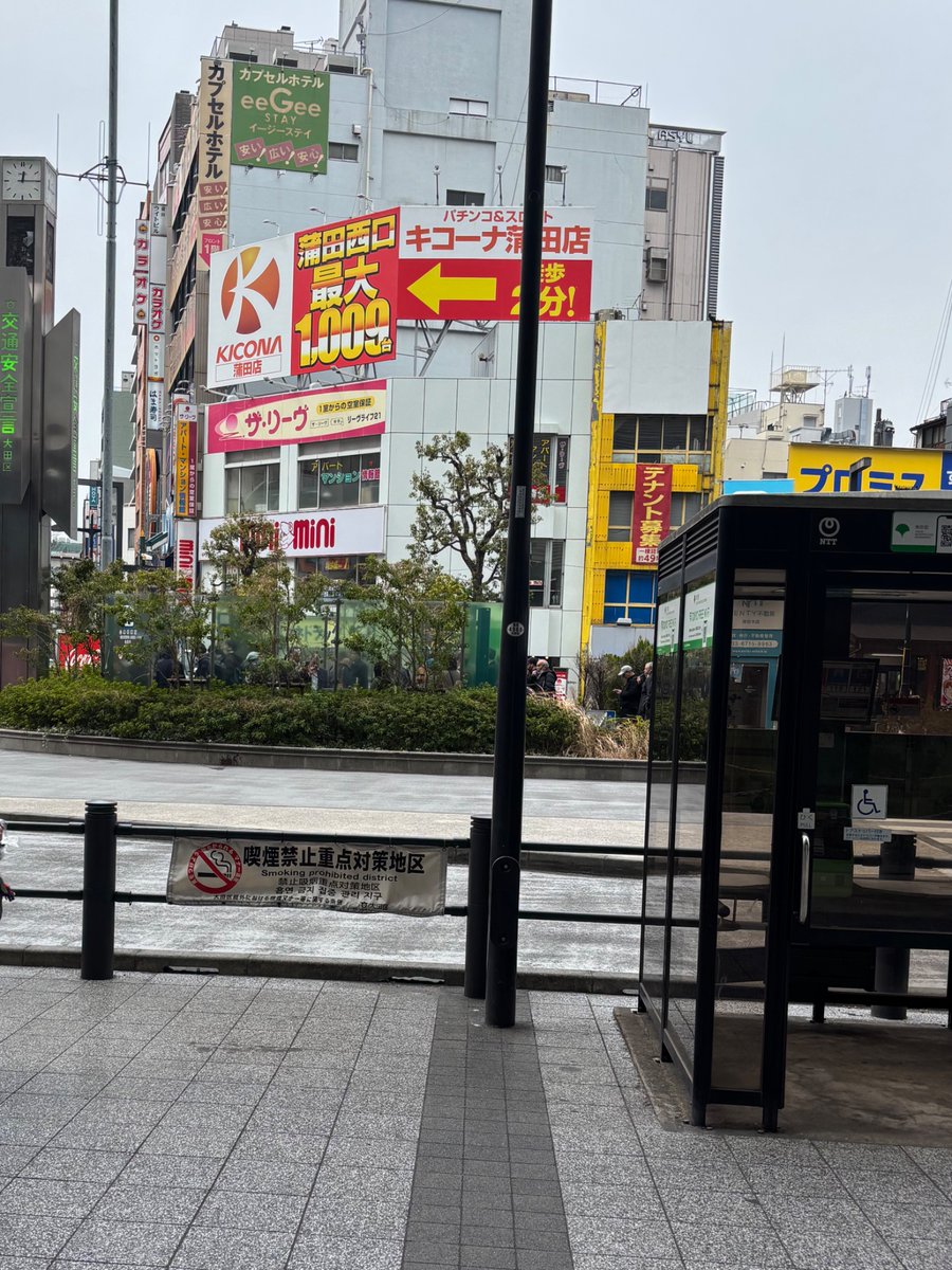 肺魚 (@haigyo0513) on Twitter photo 