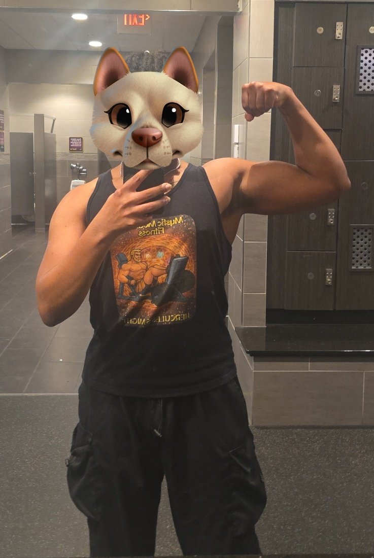 Eclipse 🌑💫 tweet media