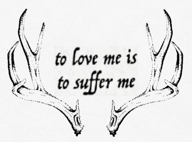 deerful doebuck 🦌 tweet media