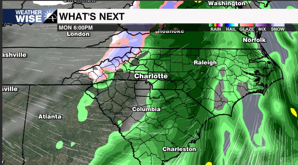 Janessa Webb tweet media