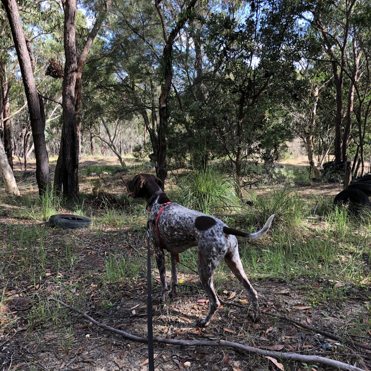 Mawson🪽 and Mum tweet media