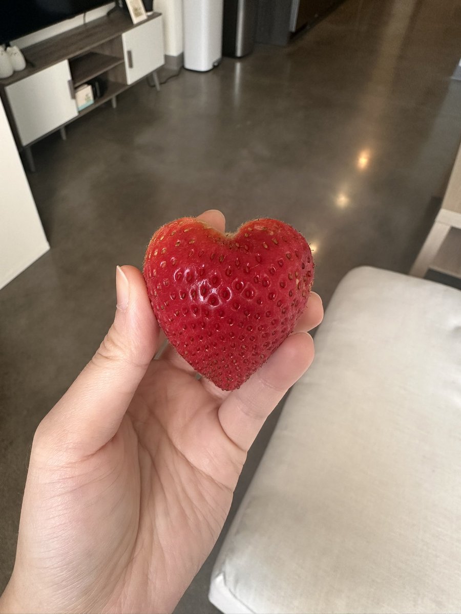 완벽한 딸기하트 볼사람