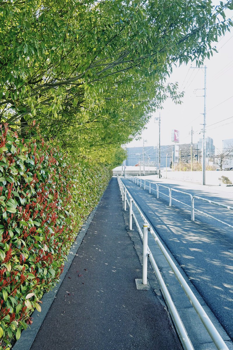 what_ebi_02's tweet photo. 散歩、カメラ持ってくればよかった https://t.co/NpXwZpRJEm