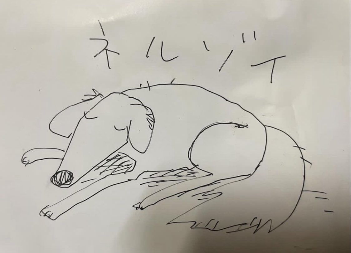 あすけんの人に昨日「今日は世界睡眠デーてす」とゆわれたのでロシア出身の寝てばかりいるちょう大型犬ネルゾイを紹介してネル 