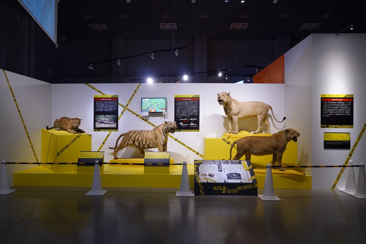 ╋・
　🐊 本日開幕 🦈 
　　　　 　　　・╋

特別展「超危険生物展　科学で挑む生き物の本気」

　◆会期：3月14日(土)～6月14日(日)
　◆場所：#国立科学博物館

ご来場お待ちしております！！

🔽詳細
chokikenseibutsuten.jp