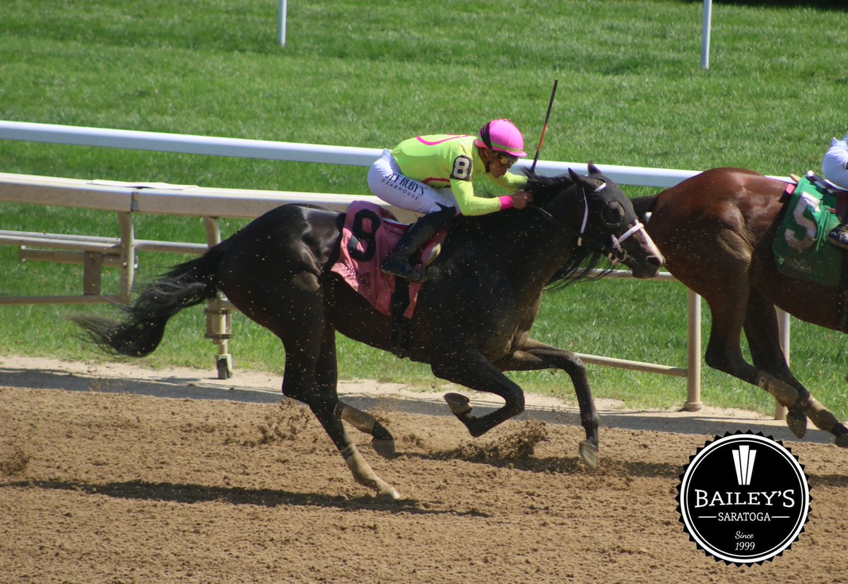 America’s Pastime Stables tweet media