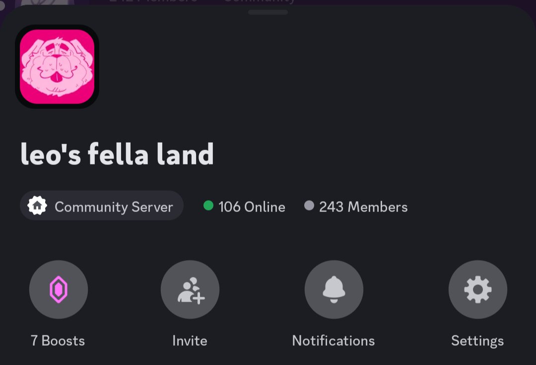 leo (working on comms) tweet media