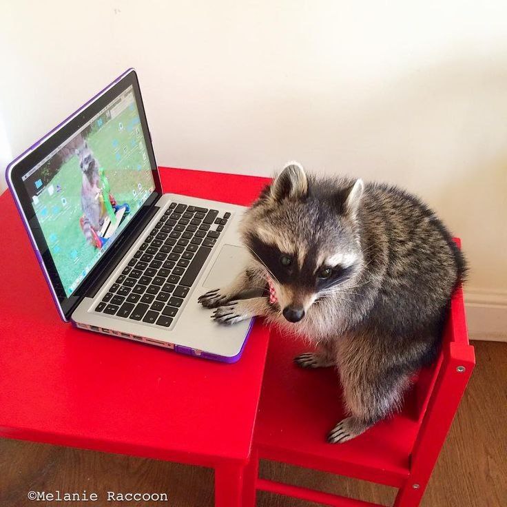 Winton con amiguis jsjs
 twitch.tv/masserabyss 
twitch.tv/masserabyss
twitch.tv/masserabyss