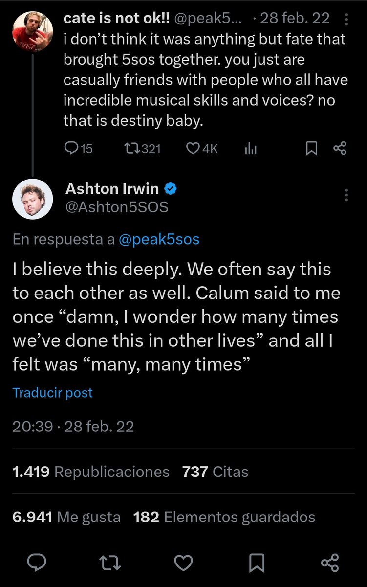 A veces las almas gemelas no son solo románticas