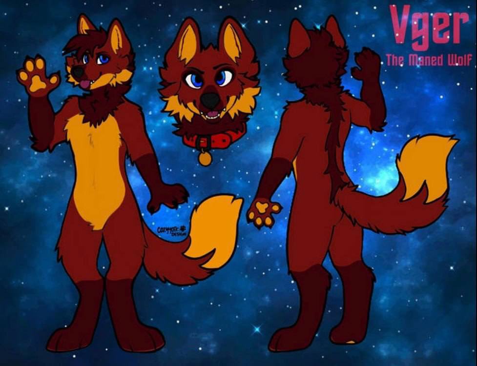 Vger Fox 🔜 TFF2026 tweet media