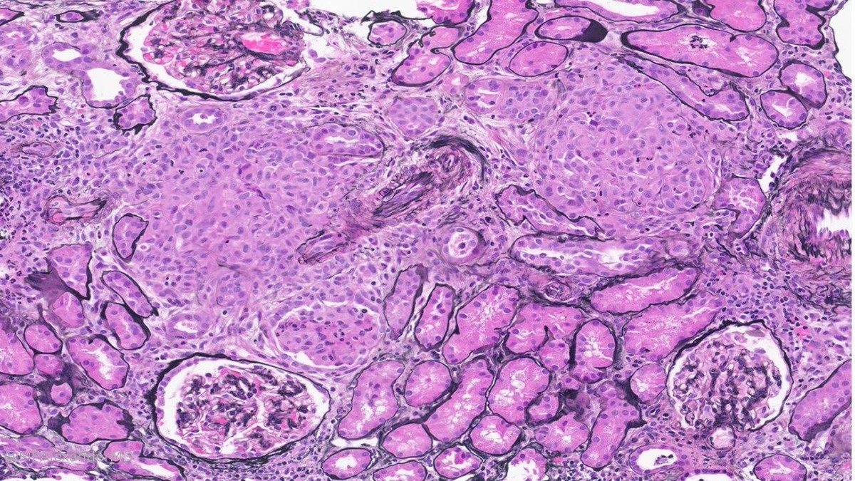 Priya Alexander, MD tweet media