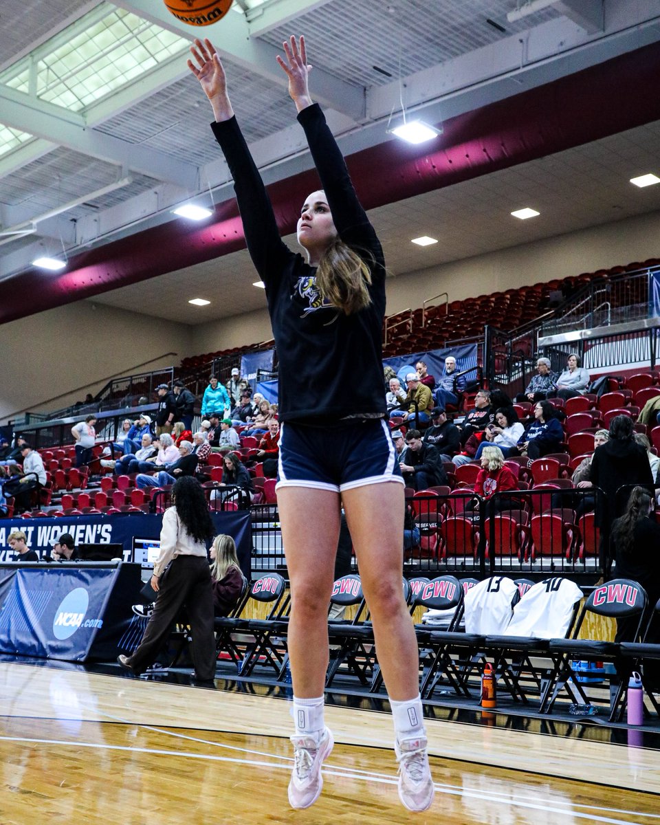 MSUB Women's Basketball tweet media
