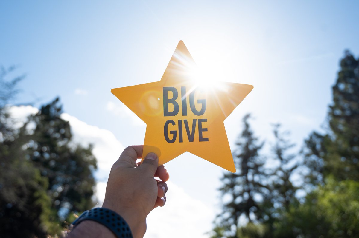 Human Rights Center tweet media