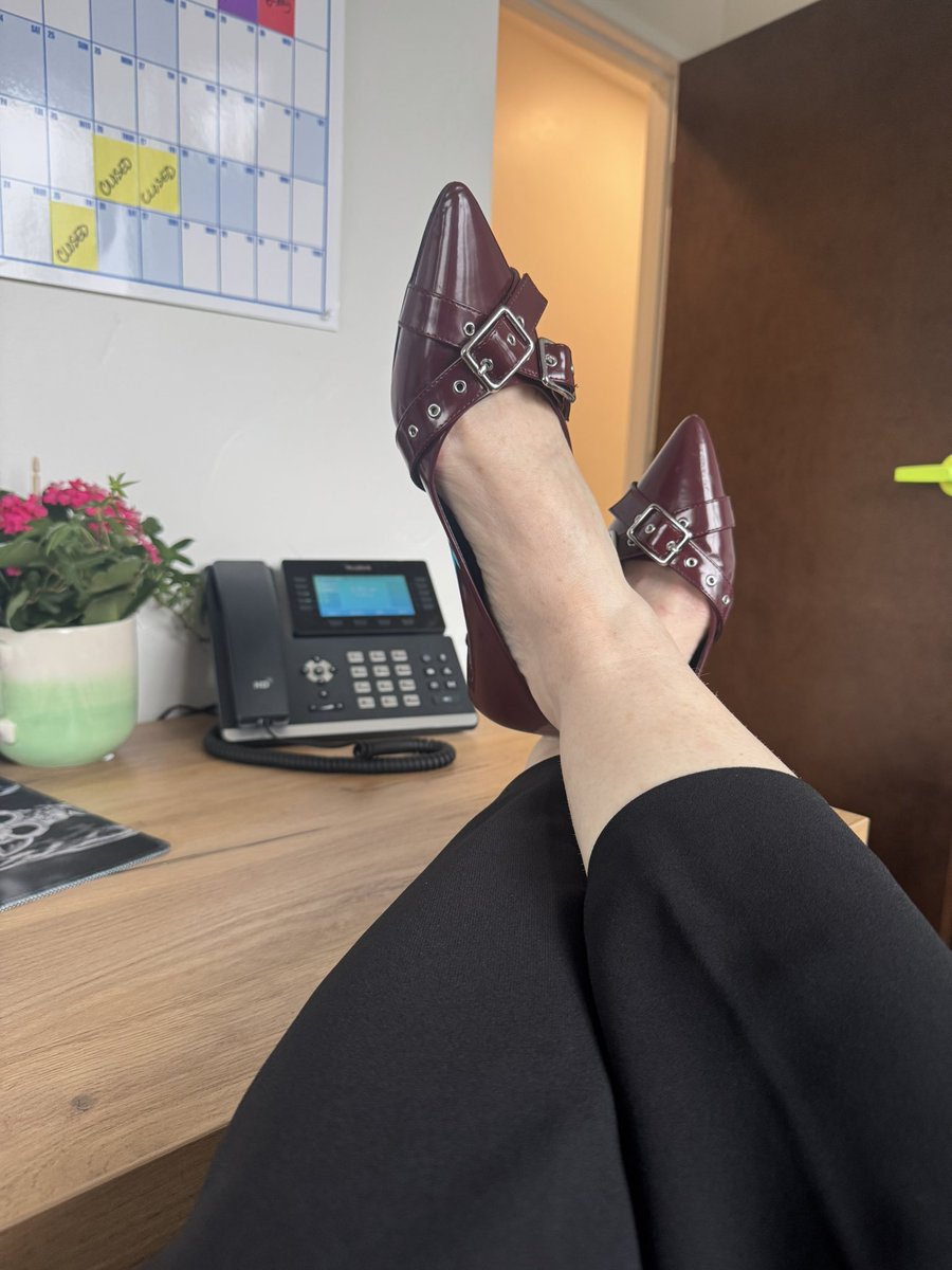 4eyedmonkey 🤓😎🥸 tweet media