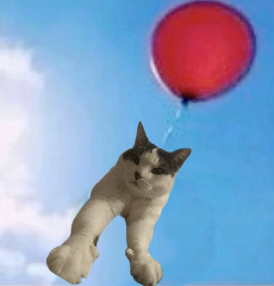 TheCatNamedMags tweet media