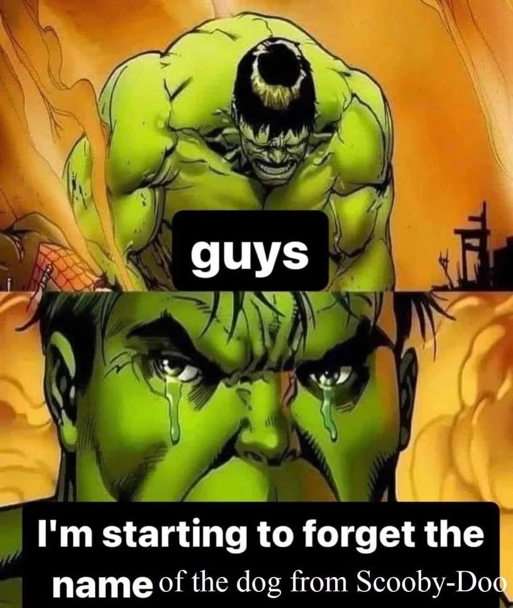 nocontextmemes's tweet photo. https://t.co/nhrpD89erK
