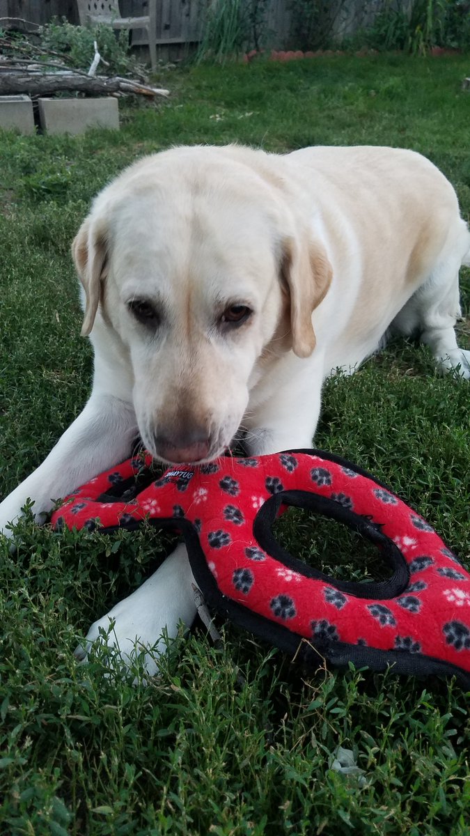 DeHaan Recording Studio tweet media