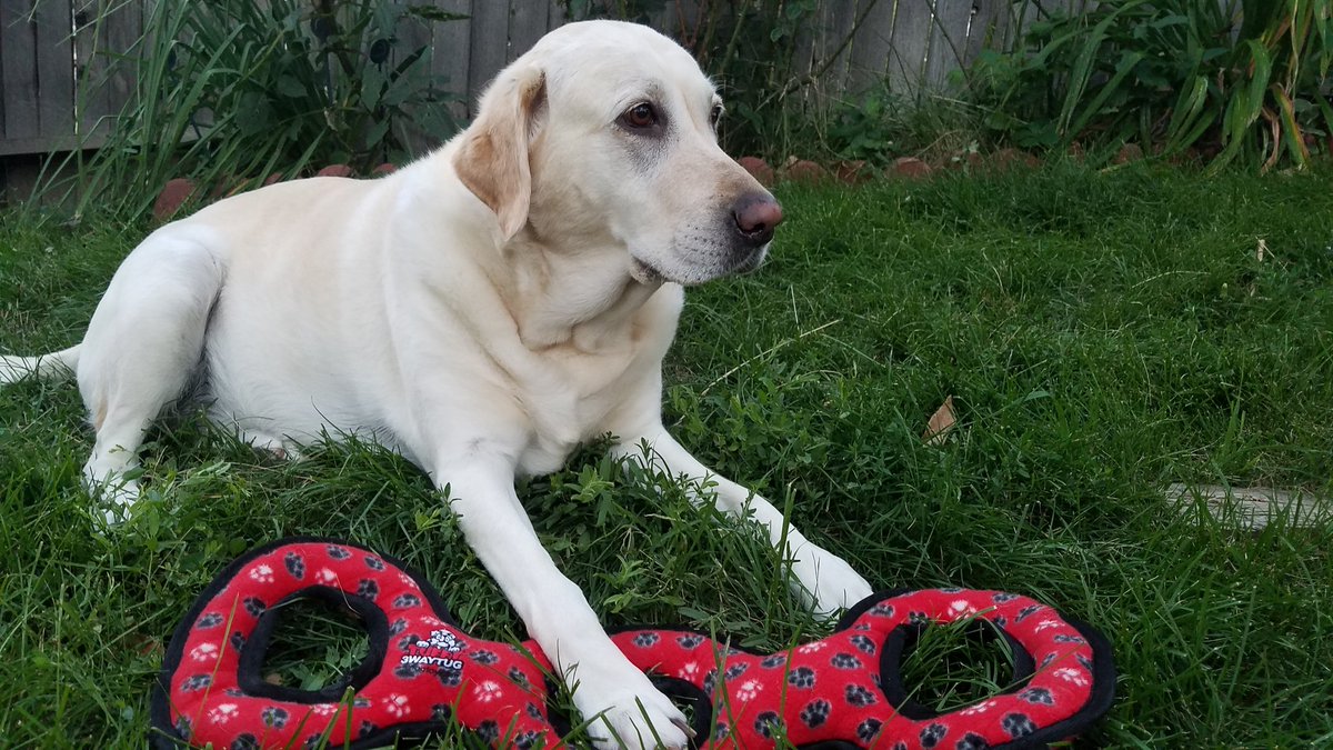 DeHaan Recording Studio tweet media