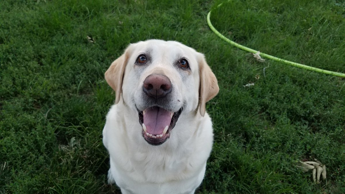 DeHaan Recording Studio tweet media