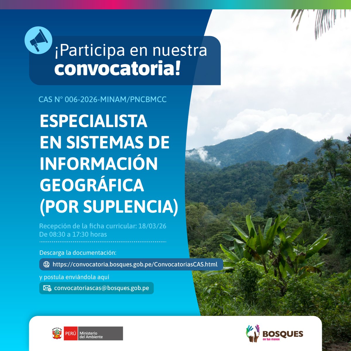 Programa Bosques tweet media