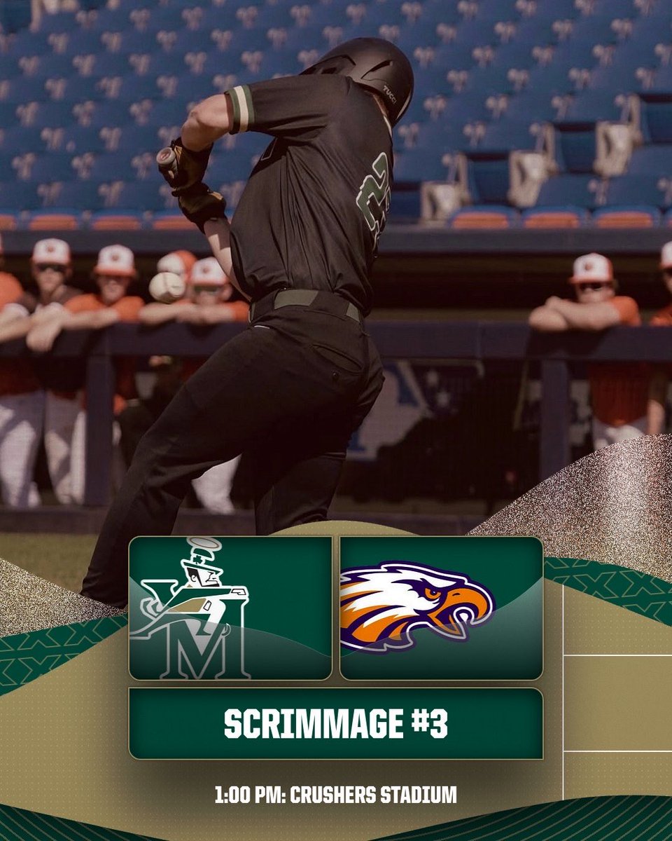 St. Vincent-St. Mary Baseball tweet media