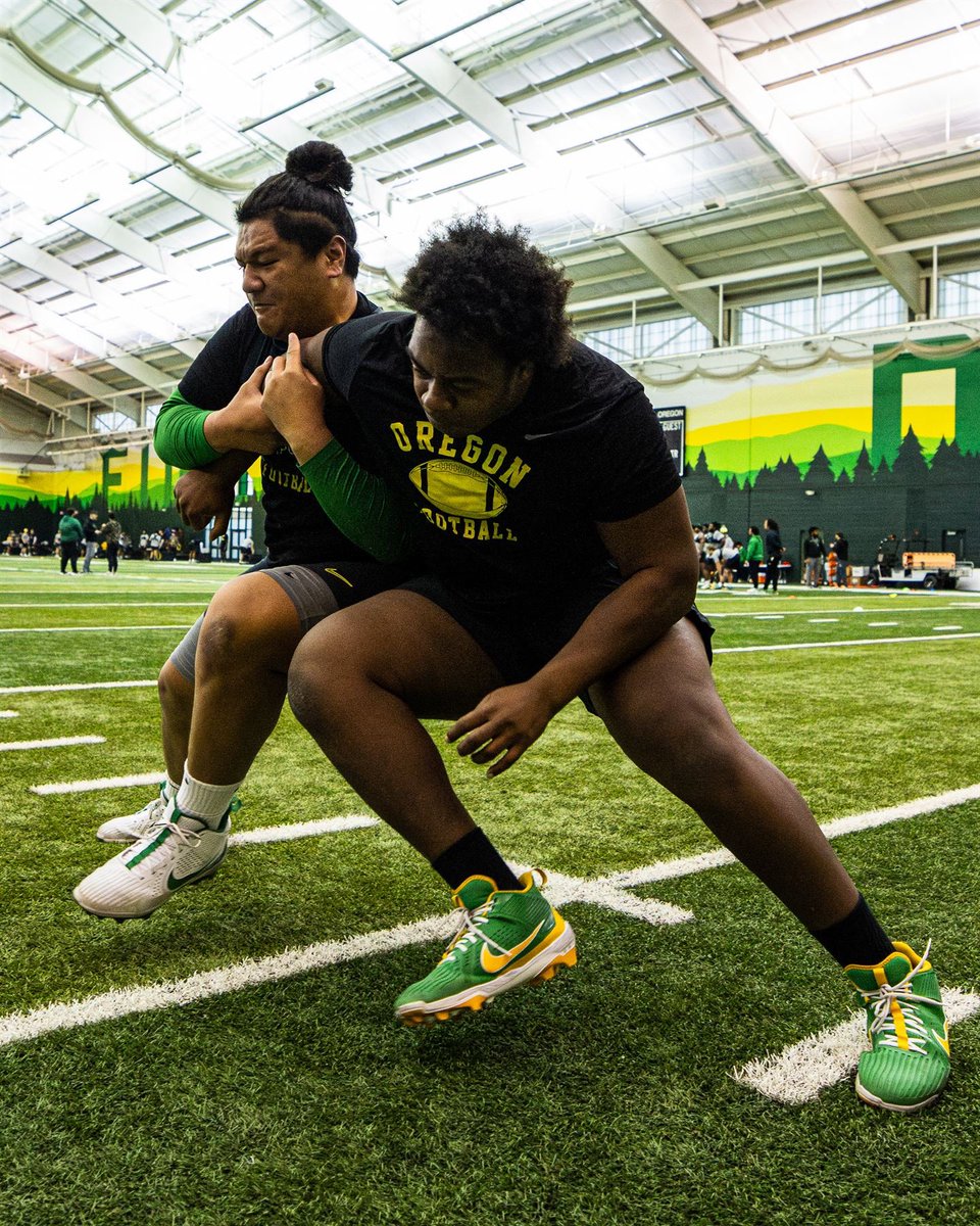 Tommy Tofi tweet media