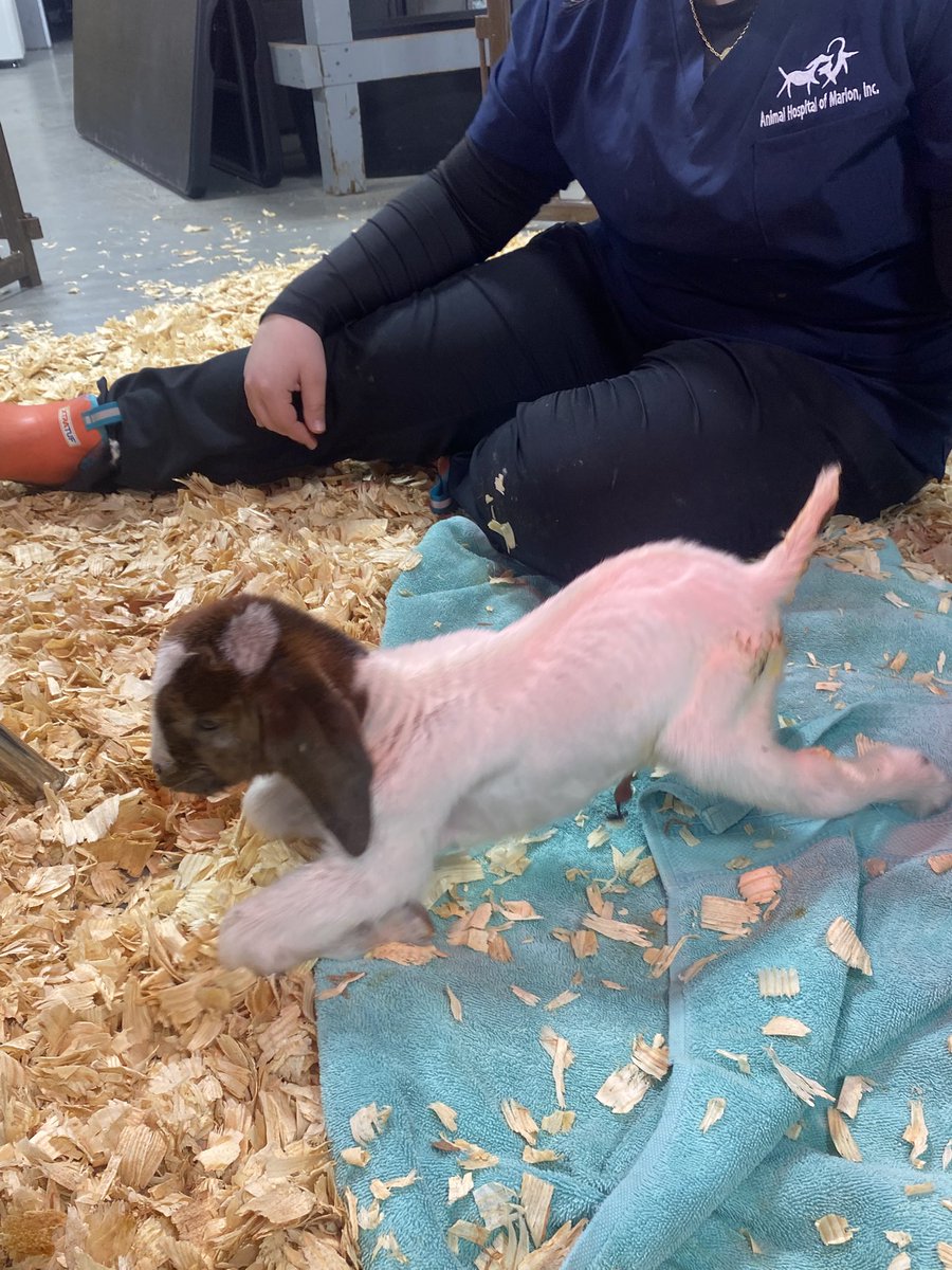 Michelle Baker tweet media