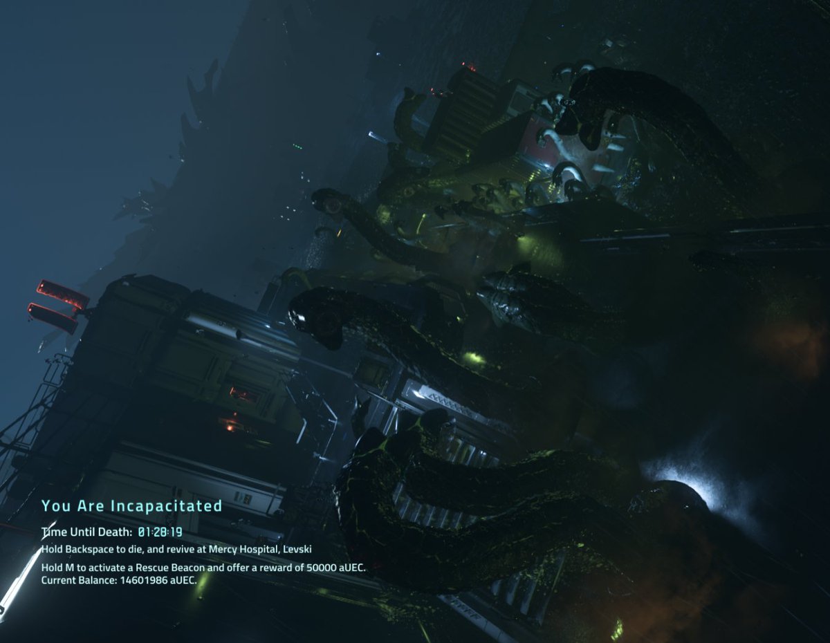 Arkvenger tweet media