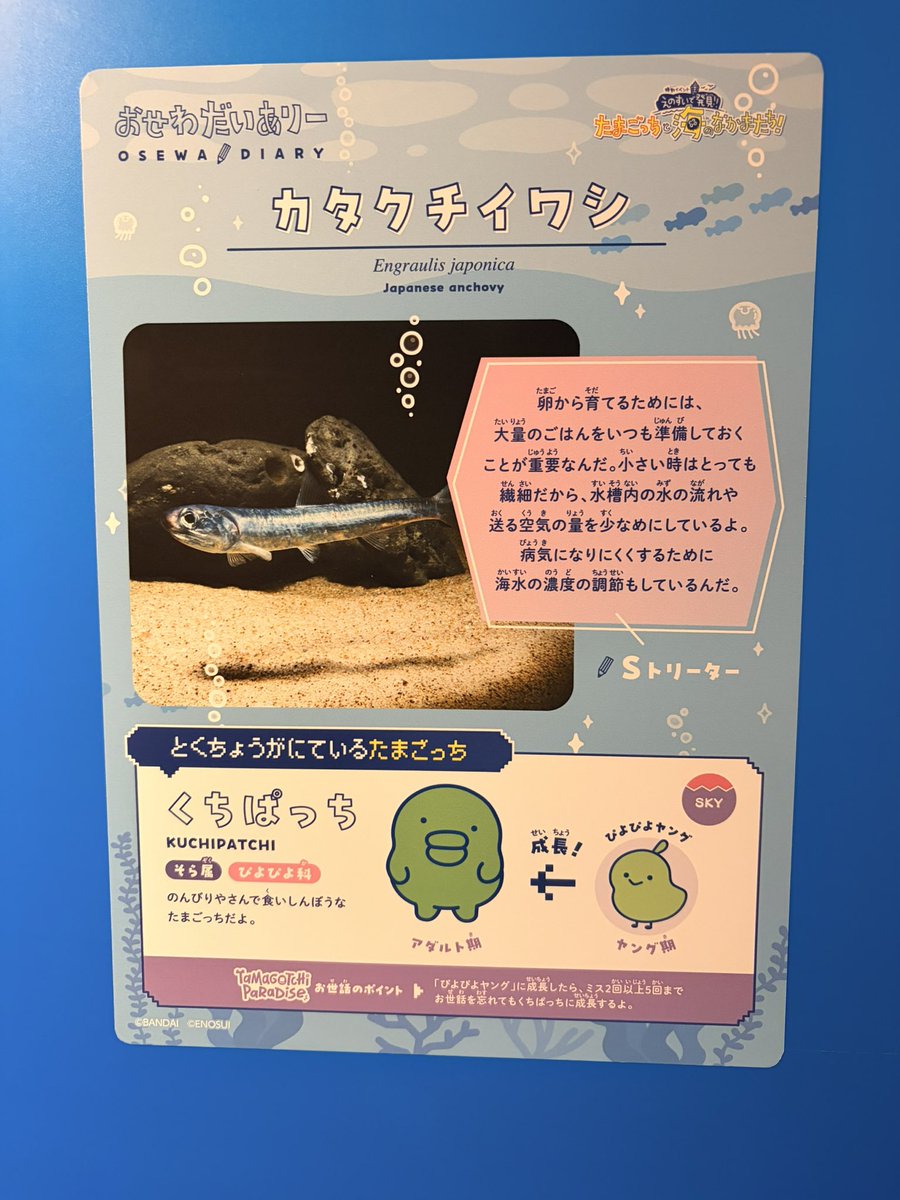 14_margareta's tweet photo. #えのたま https://t.co/ME2yTZ5ipO