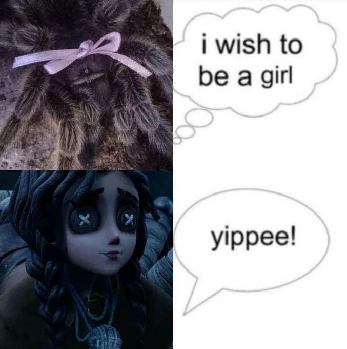 daily violetta 🕷🕸 (@dailysoulweaver) on Twitter photo 