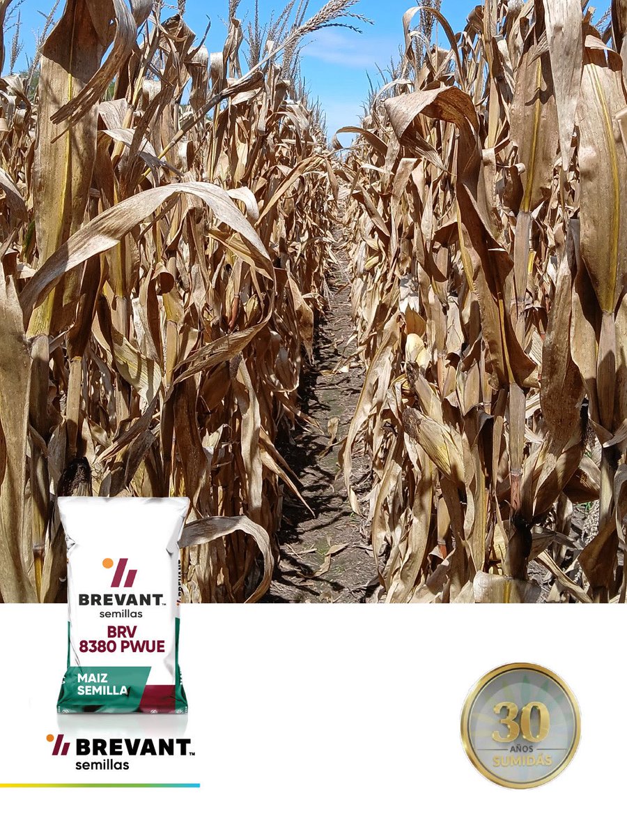 Sumidasjv tweet media