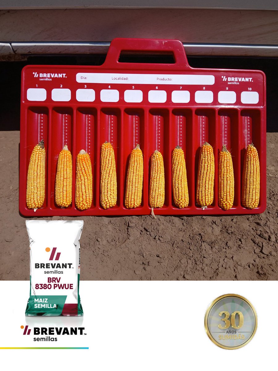 Sumidasjv tweet media