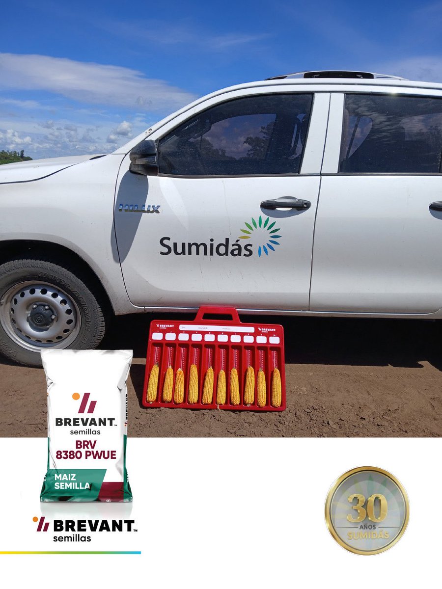 Sumidasjv tweet media