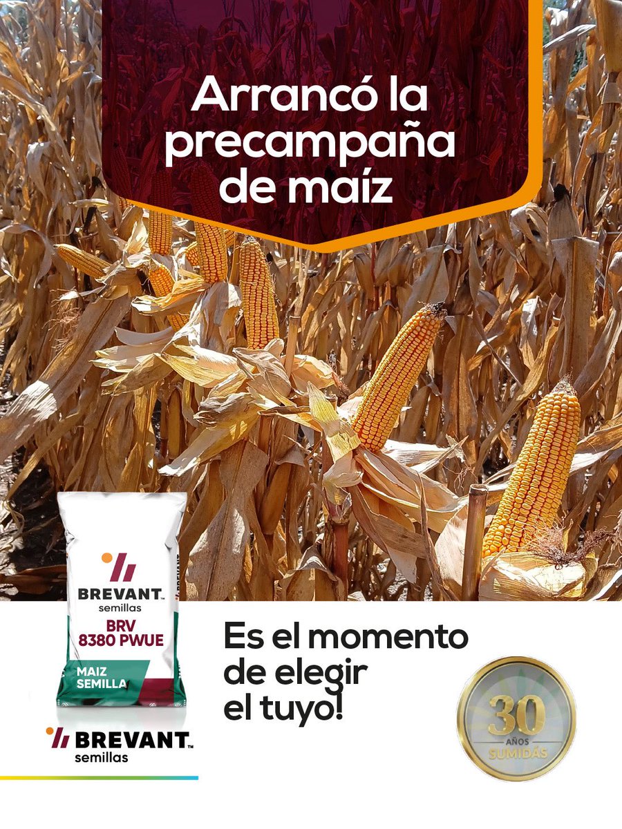 Sumidasjv tweet media