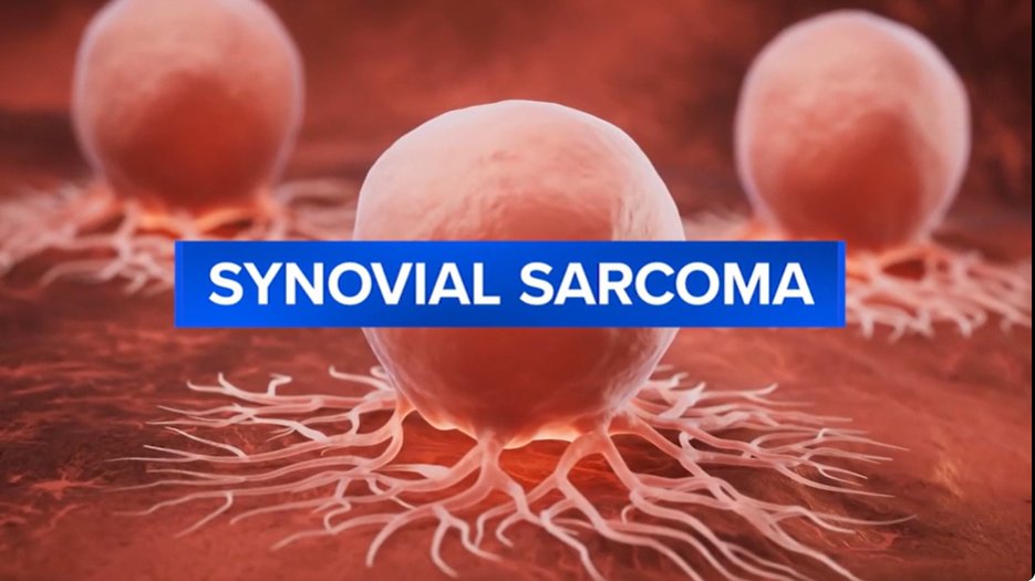 Fox Chase Cancer Center tweet media