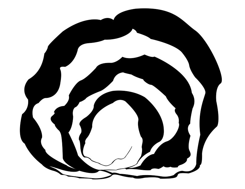 chris hutter tweet media