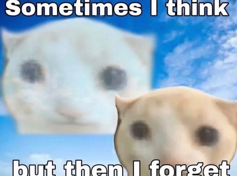 Punch Cat (@punchingcat) on Twitter photo 