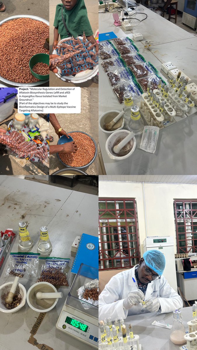opemidimeji_xo's tweet image. 13/03/26 — A life long Learner 🥼

• Sample Collection (20/120 samples; 1/6 Markets)

• Serial Dilution (started with 2 samples)

• used Pour Plate Technique (first time personally)

a long day, but it was worth it! 🥹

#AcademicTwitter
